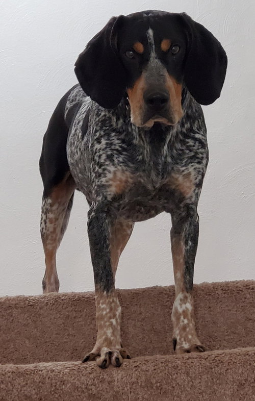 Carl