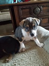 Lucy
