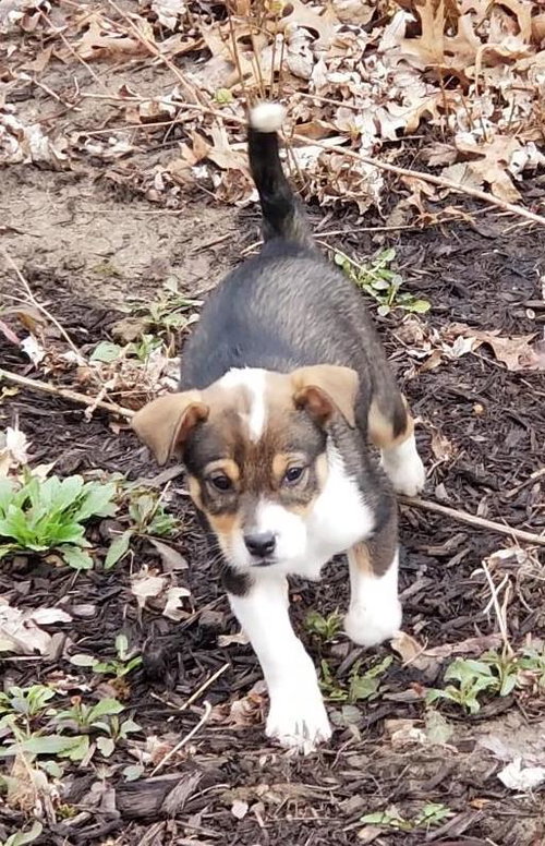Lucy