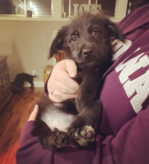 Leo