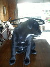 Missy