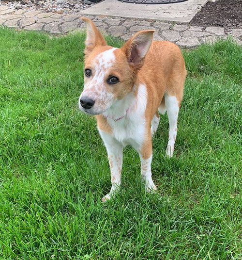 Chloe