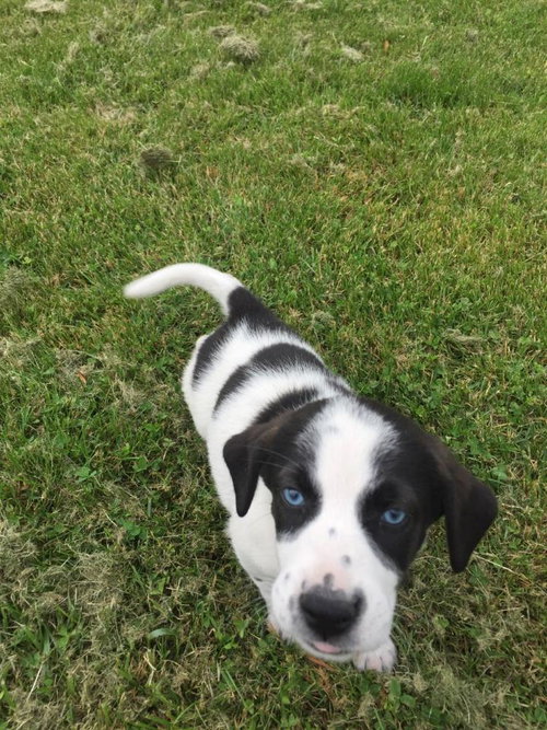Skye