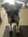 Lucy