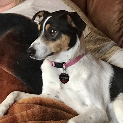 Sophie 2