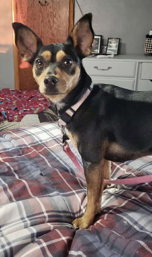 Ruby