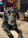 Athena