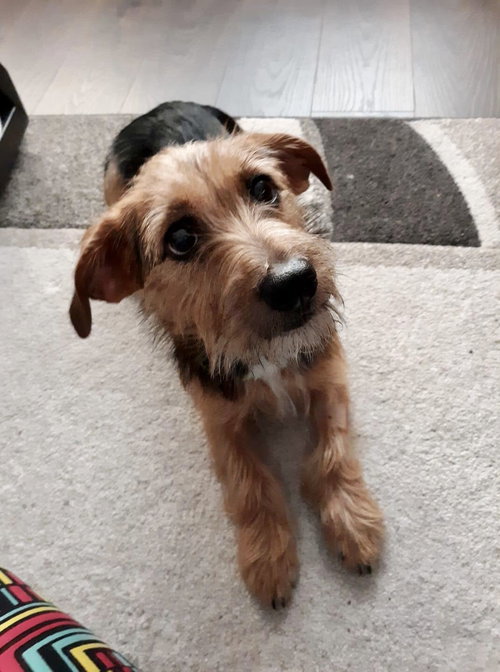 Della