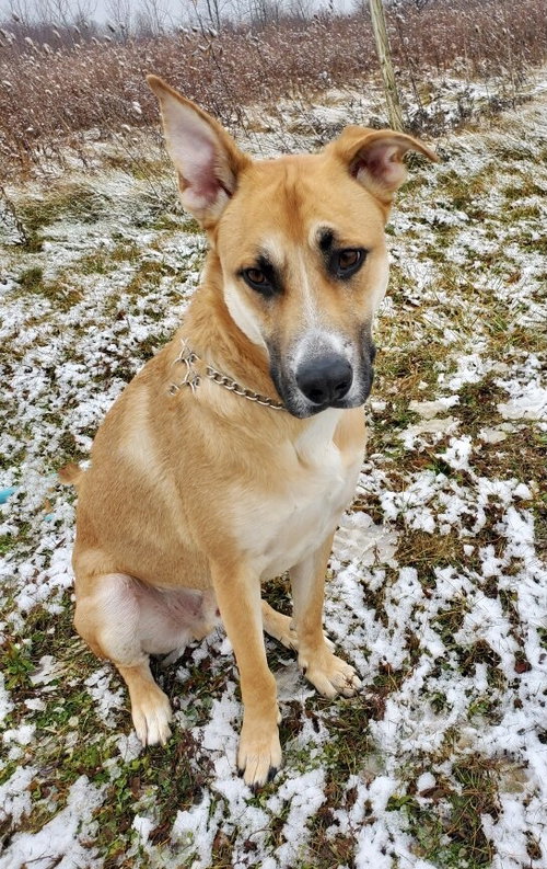 Duke