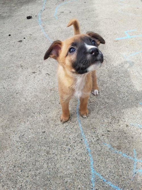 Lucy