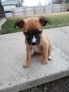 Lucy