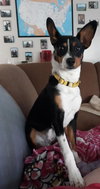 Molly