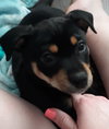 Bruno