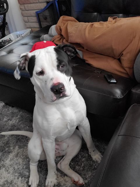 Doc