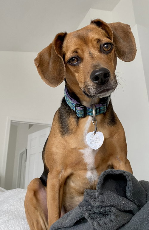 Copper