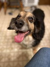 Roxy