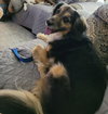 Roxy
