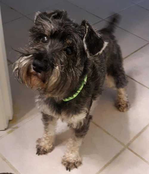 Oscar