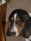 Molly