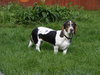 Molly
