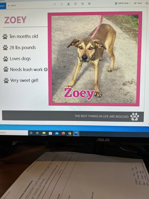 Zoey