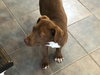 Zoey