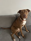 Zoey