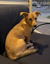 Roxy