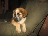 Buster