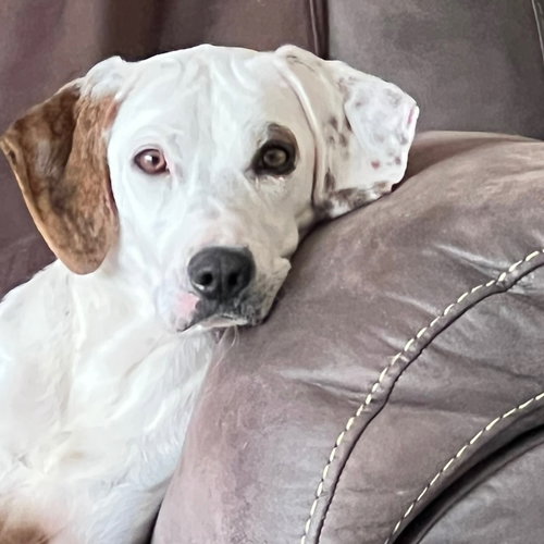 Winnie