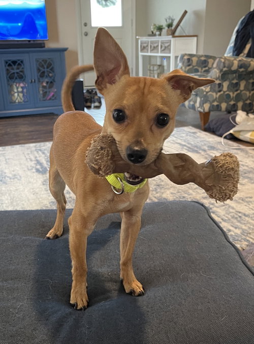 Milo