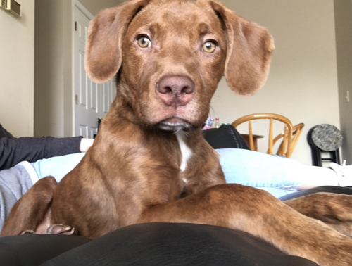 Tucker