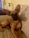 Roux