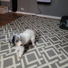 Tom