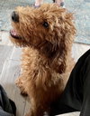 Rusty