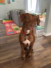 Arlo