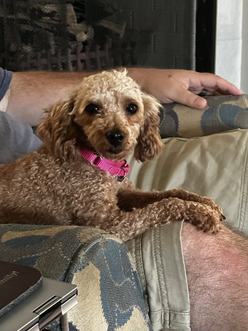 Sophie