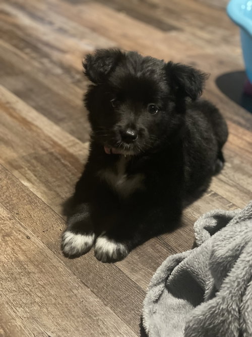 Coco