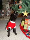 Bugsy
