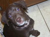Clairese
