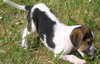 Lilly