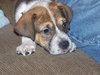George