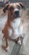Klondike