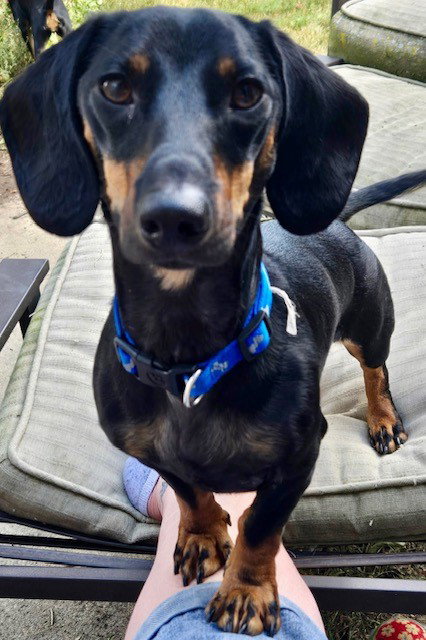 Oscar