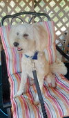 Charlie