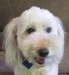 Charlie