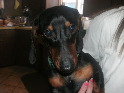 Cooper