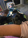 Jack