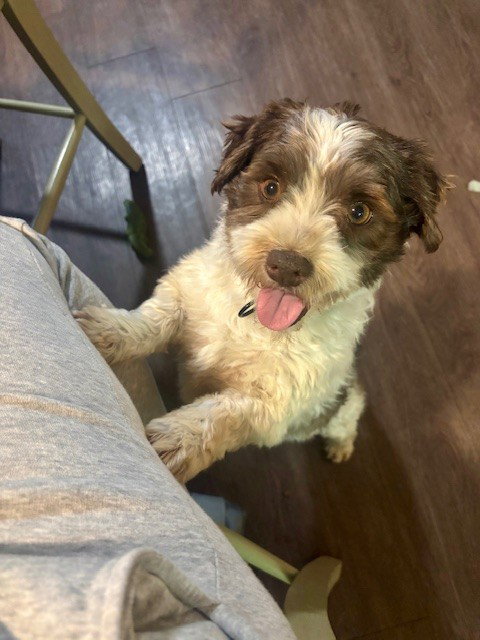 Milo
