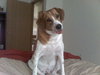 Charlie